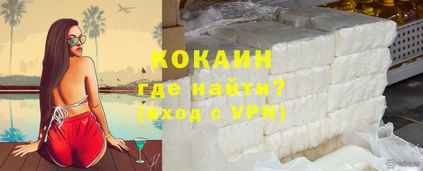 индика Михайловск