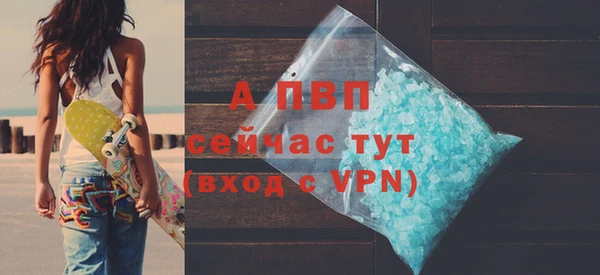 индика Михайловск
