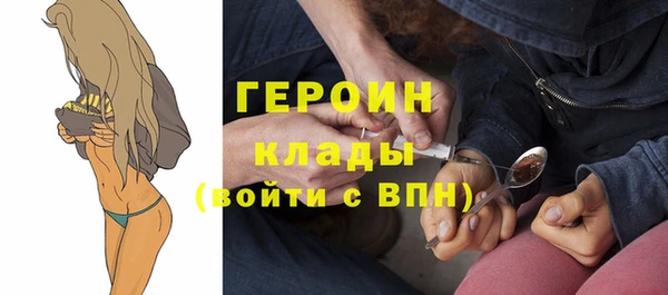 индика Михайловск