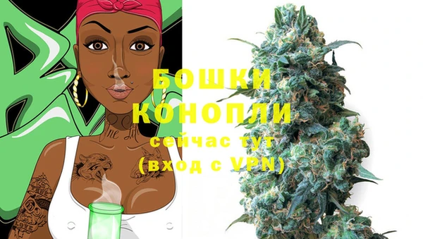 индика Михайловск