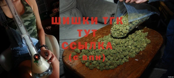 мдпв Слюдянка